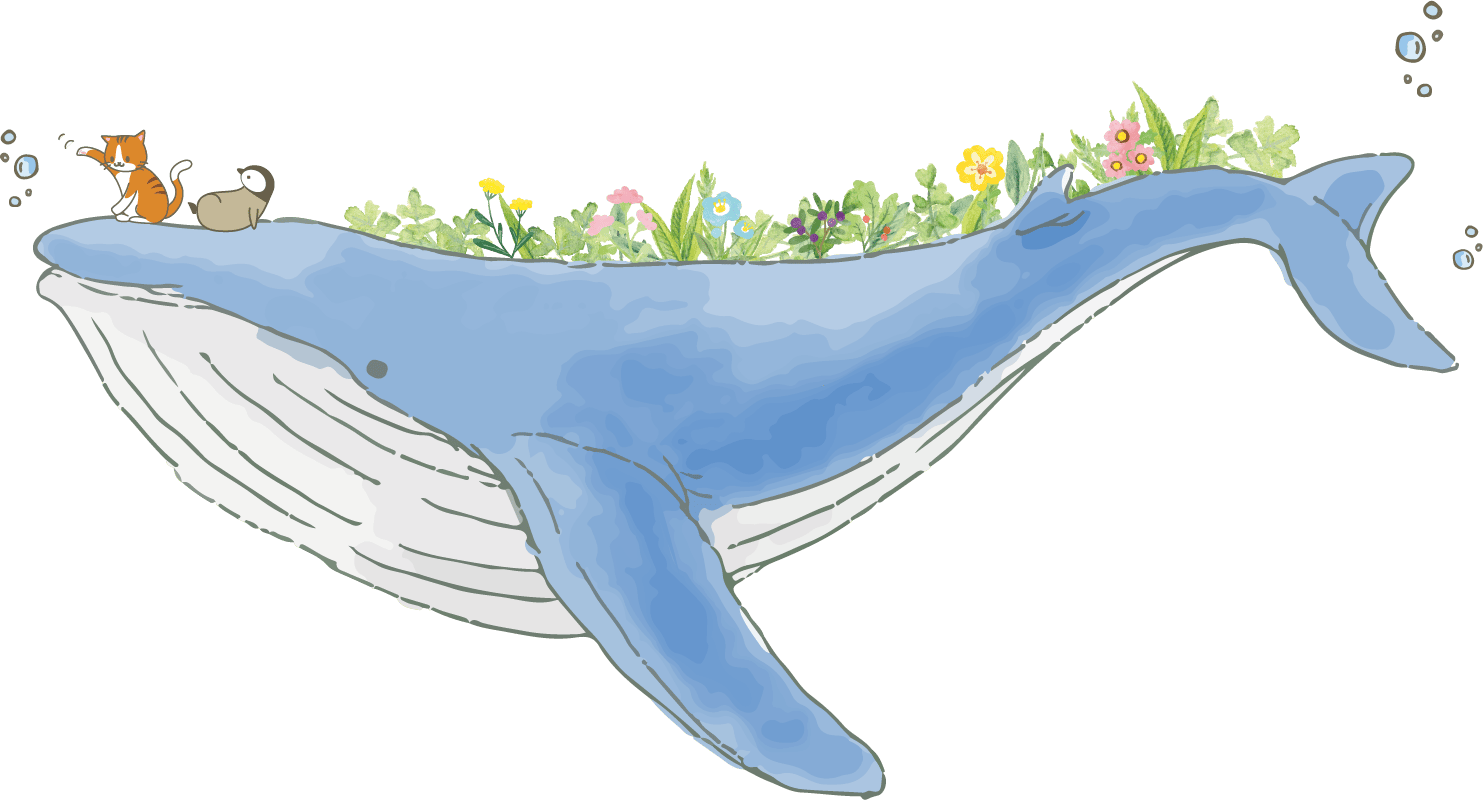 イルカのイラスト